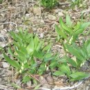 천지인농장 이미지