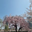 중원탑공인중개사사무소 이미지