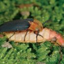 여름탐방(가족) 이미지