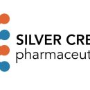 PLATANUS | Silver Creek Pharmaceuticals, 급성 허혈성 뇌졸중에 대한 scp776의 2상 임상 결과 발표