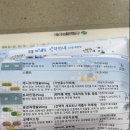 쿨리브 | 식욕억제제 및 다이어트 보조제 처방