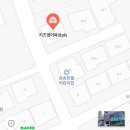 키즈영어복싱pls 이미지