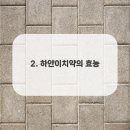 하얀이건강
