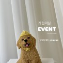 펫티시에 이미지