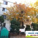 안곡로 22 이미지