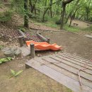 초부리유아숲체험원 이미지