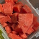 운악채한옥마을주식회사 | [경기도/가평] 운악채한옥마을 후기｜가족여행하기 좋은 감성가득 한옥독채펜션, 고즈넉한한옥에서 촌캉스🌟