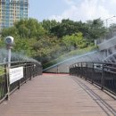 호수부분정비 이미지