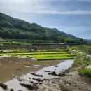 충북 보은 농업용 굴삭기 상담 후기 – 직접 방문으로 고객 고민 해결🚜