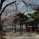 이공제비 및 군수이후범선영세불망비 이미지