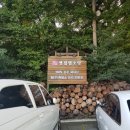 옛집염소탕 | [이천맛집] 이천 옛집염소탕에서 몸보신하세용 이천흑염소맛집