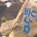 대왕약품 이미지