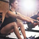 단풍나무짐 이미지