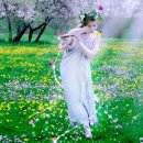 산소첼로 이미지