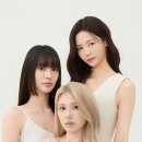 디디코스메틱