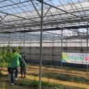 조성국농장 이미지