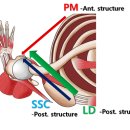 여수백병원 이미지