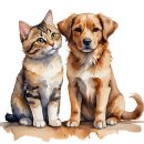 강아지와 고양이 이미지