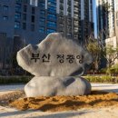 정중앙맛집 이미지