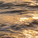 THE웃는치과의원 이미지