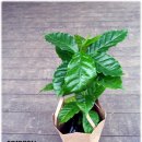 태환농장 이미지