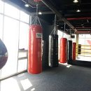 서산Y복싱클럽 이미지