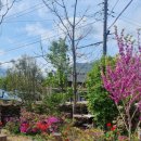 파도마을 삼냥이네 이미지