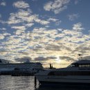 (멍갤러리) mung gallery | 오클랜드 여행 오클랜드대학교 카페 Casse-Croûte 오클랜드 도메인 오클랜드 미술관 Auckland Art Gallery