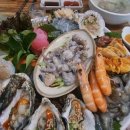 회뜨는바다 이미지