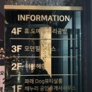 더뮨헤어 이미지