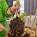 (주)포도스튜디오 | [공지] 포도와 Q&amp;A 1편 — 왜 포도와인가