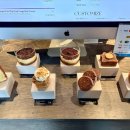 Sloth Coffee Roasters