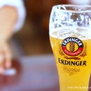 쉐프마일리오스트리아 이미지