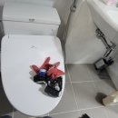 포스코더샾크리닝 이미지