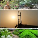 현구생가 이미지