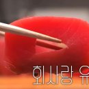 육회명가 네이버블로그