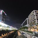 동대문 서울달빛 이미지