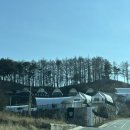 가회면 | 대구 근교 글램핑 | 합천 황매산 별보다글램핑 (B동 후기)