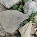 선유도 오룡묘 | 군산 여행, 고군산열도에서 만난 바다와 역사 이야기