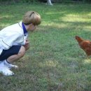 닭과함께라면