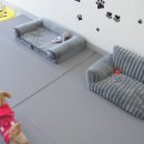 왈왈 살롱 이미지