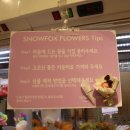 스노우폭스플라워강남 이미지