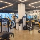 문스타일짐 이미지