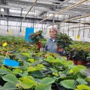 (주)한국치유농업연구소 이미지