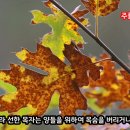 (주)처음
