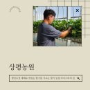 상평농장 이미지