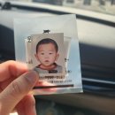 수원세관 | 10개월 아기랑 괌 가족여행 여권 만들기, 전자여행허가증, 전자세관신고서, 항공, 호텔 준비하기