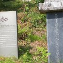 위너스 행정사사무소 이미지