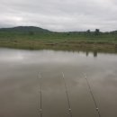 비안농장 이미지