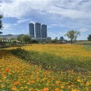 낙동강관리본부 화명생태공원 3 이미지